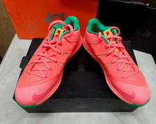 Air Max LeBron X Low TG 44
