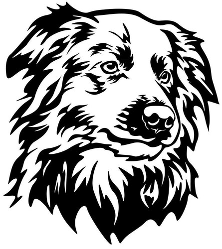 Adesivo border collie - adesivo,