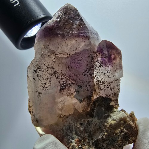 Scettro scheletrico fantasma