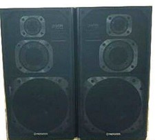 Pioneer S-Z91V coppia