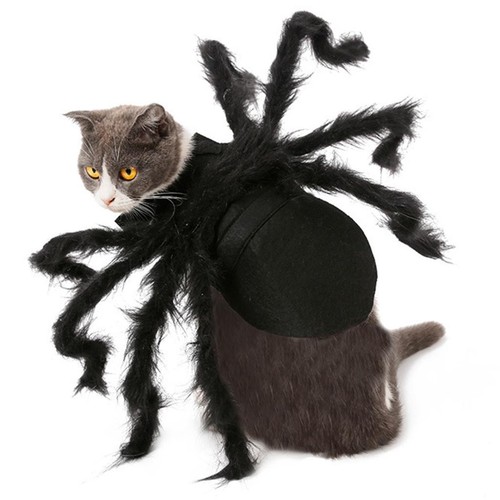 Vestiti divertenti del costume - vestiti,