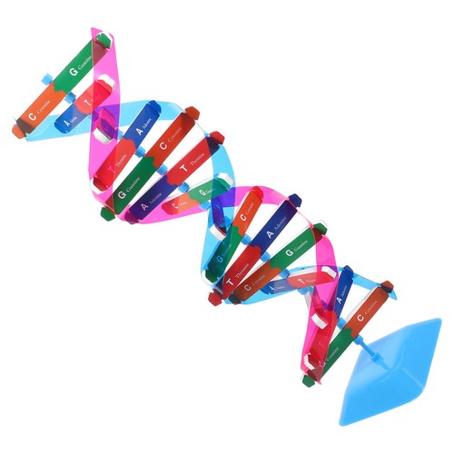 Kit esperimento scientifico - ,
