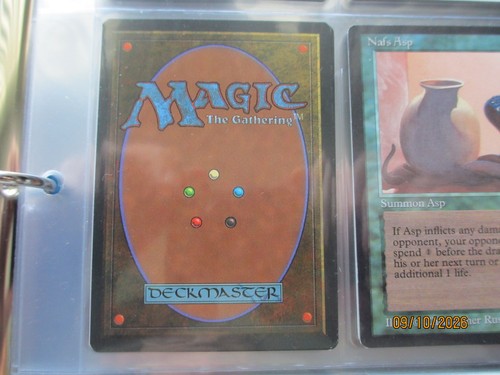 Vintage mtg magic raduno - raduno,