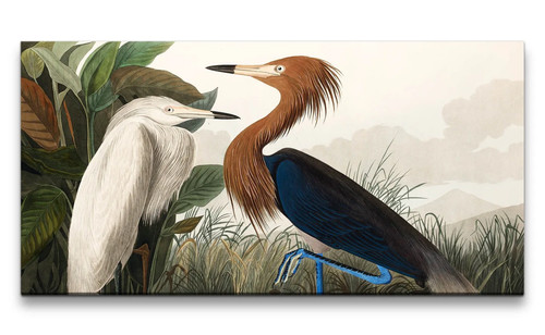 120x60cm remaster kunstvolle - 120x60cm,