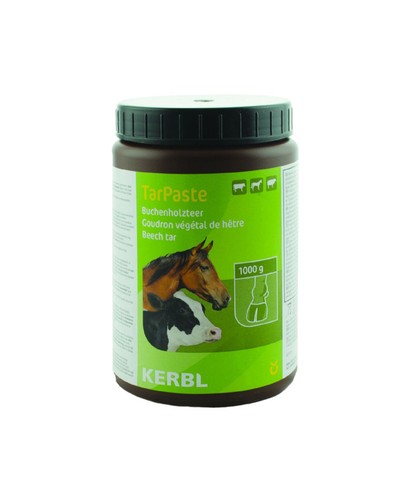 Umbria equitazione catrame - equitazione,