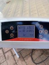 Incubatrice uova domestica