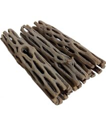 4x grandi acquari Cholla