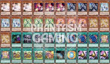 Mazzo Scherzi-Kids Rocksies