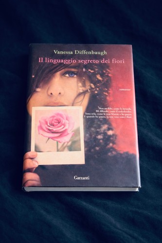 Linguaggio segreto dei - linguaggio,