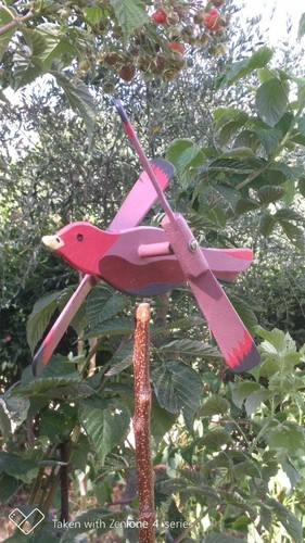 Segnavento animato uccellino - segnavento, -uccellino