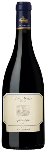 Pinot nero della sala umbria - pinot,