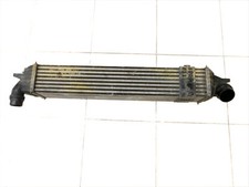 Intercooler Radiatore per