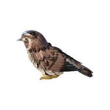 Scultura uccellino in metallo