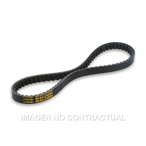 Cinghia trasmissione belt - trasmissione, x-belt