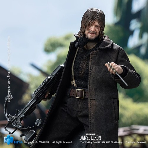 Walking dead daryl dixon 12 - walking, 1/12