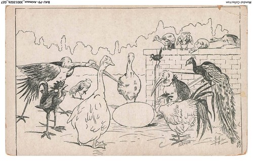 BAUP9-0435-ANIMAUX