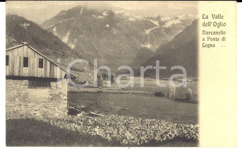 1910 ponte legno - ponte, panorama