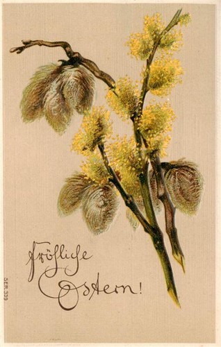 Pasqua easter paques - paques,