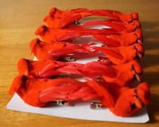 12 clip su uccellino rosso