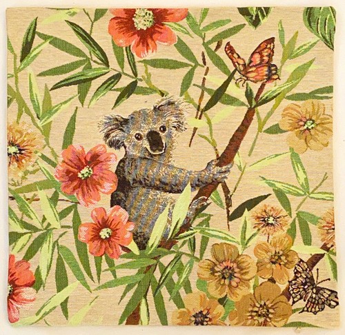 Koala orso rivolto destra - orso, a