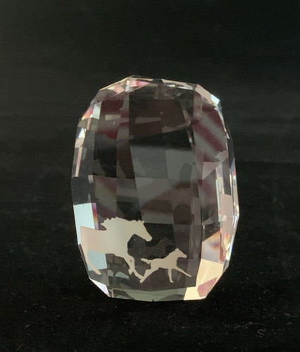 Placca membri swarovski - placca,