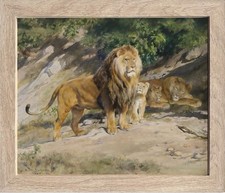 Il Re Orologi Leone Stampe