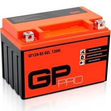 Batteria 12V 12Ah GEL GP-PRO