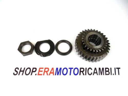 Ingranaggio albero motore - ingranaggio,