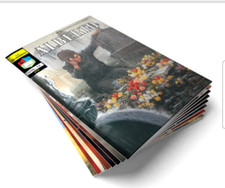 ALBERTO BOOK SERIE FUMETTI |