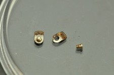 Morsetti E Viti Per Movimento