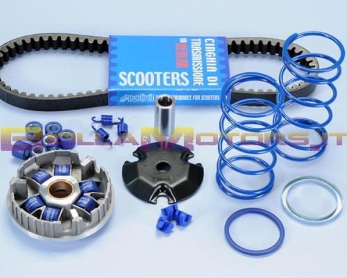 241 670 kit variatore - 241.670.1, polini