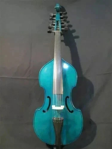 Viola gambe blu canzone - gambe,