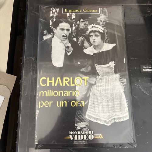Charlotte milionario per - charlotte,
