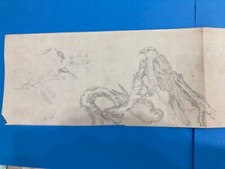 VECCHIO DISEGNO A MATITA AQUILA UCCELLI FIORI PRIMI 900.1