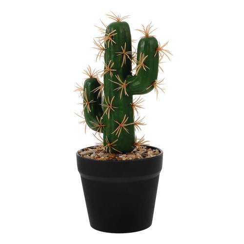Cactus vaso artificiale - ,