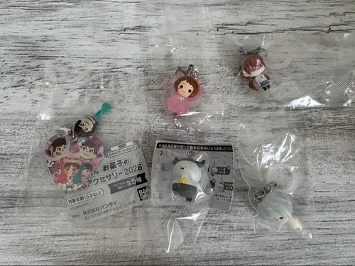 Lotto accessori charm
