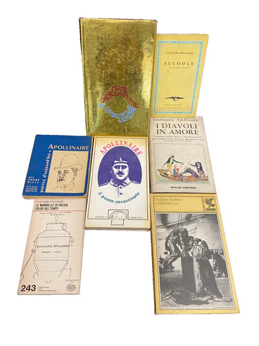 Lotto libri guillaume - 7,