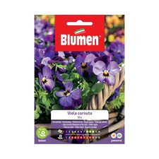 Semi viola cornuta - blu, blumen