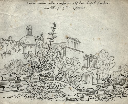 Ischia campania disegno - ischia,