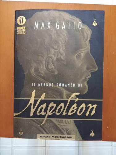 Grande romanzo napoleon - il,