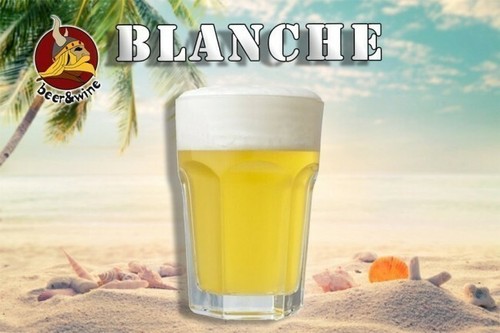 Kit ricetta birra fatta - ricetta, in