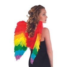 Ali di Piuma Rainbow - 50 x 50