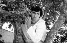 LANDO BUZZANCA IL MERLO