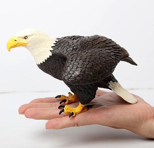 Grande aquila calva uccellino - calva,