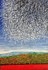 Campo papaveri quadro - di,
