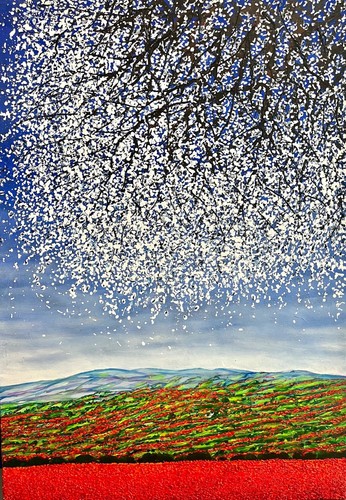 Campo papaveri quadro - papaveri, di