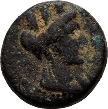 Phoenicia Tyros Bronze 16mm /