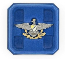 Distintivo polacco della