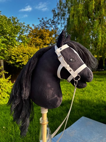Cavallo hobby nero - fatto, a
