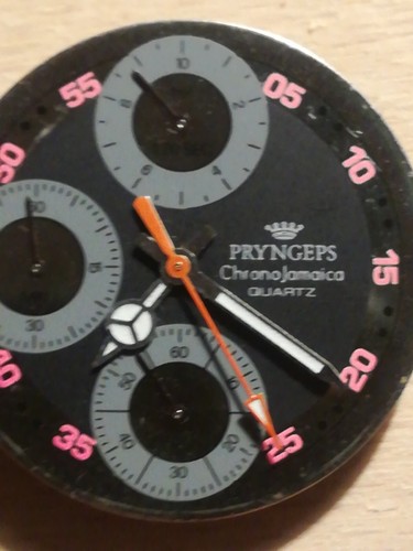 Pryngeps crono jamaica - pryngeps,